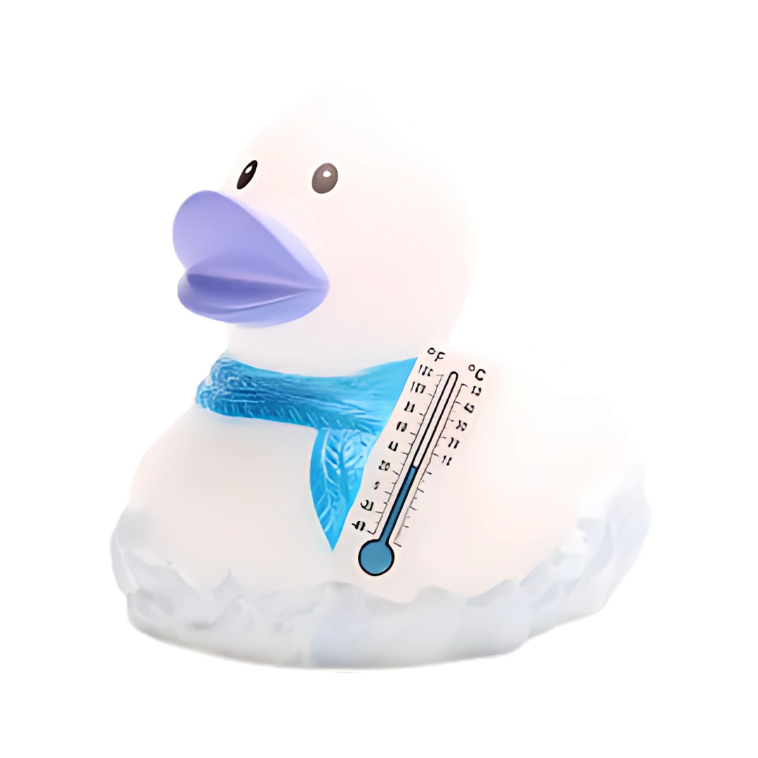 Frosty The Snowman Rubber Duck