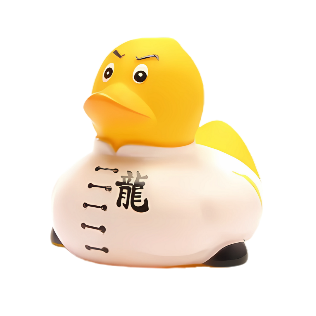 Kung Fu Rubber Duck