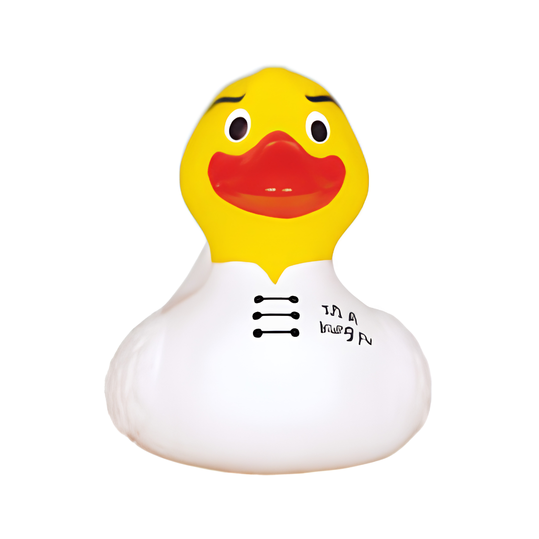 Kung Fu Rubber Duck