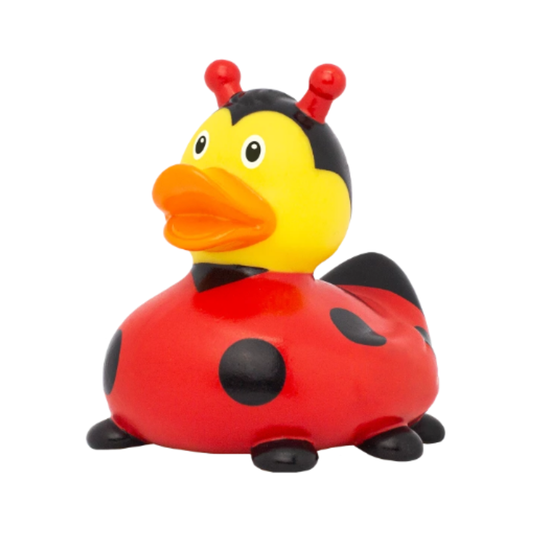 Ladybug Rubber Duck