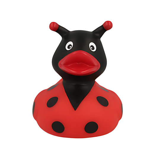 Ladybug