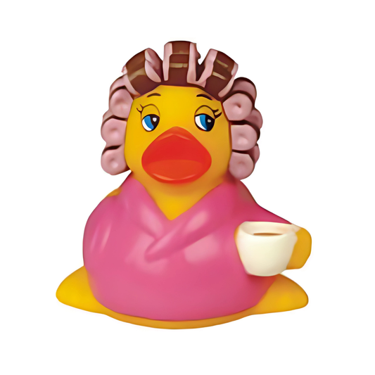 Morning Duck