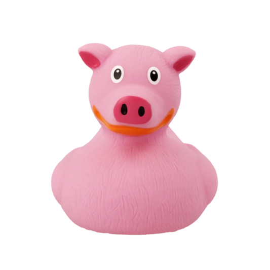 Pig