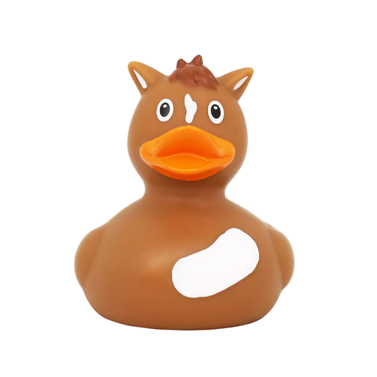 Pony Rubber Duck