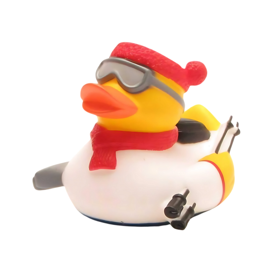 Skier