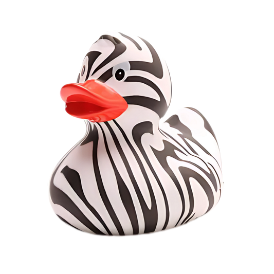 Zebra Duck