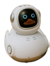 Robot Rubber Duck
