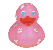 Daisy Rubber Duck