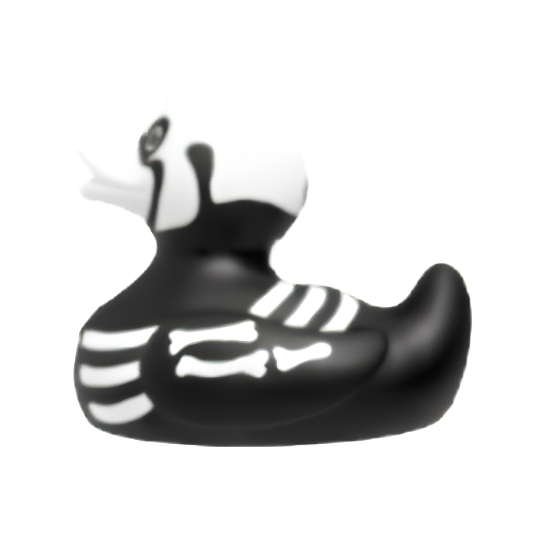 X-Ray Rubber Duck