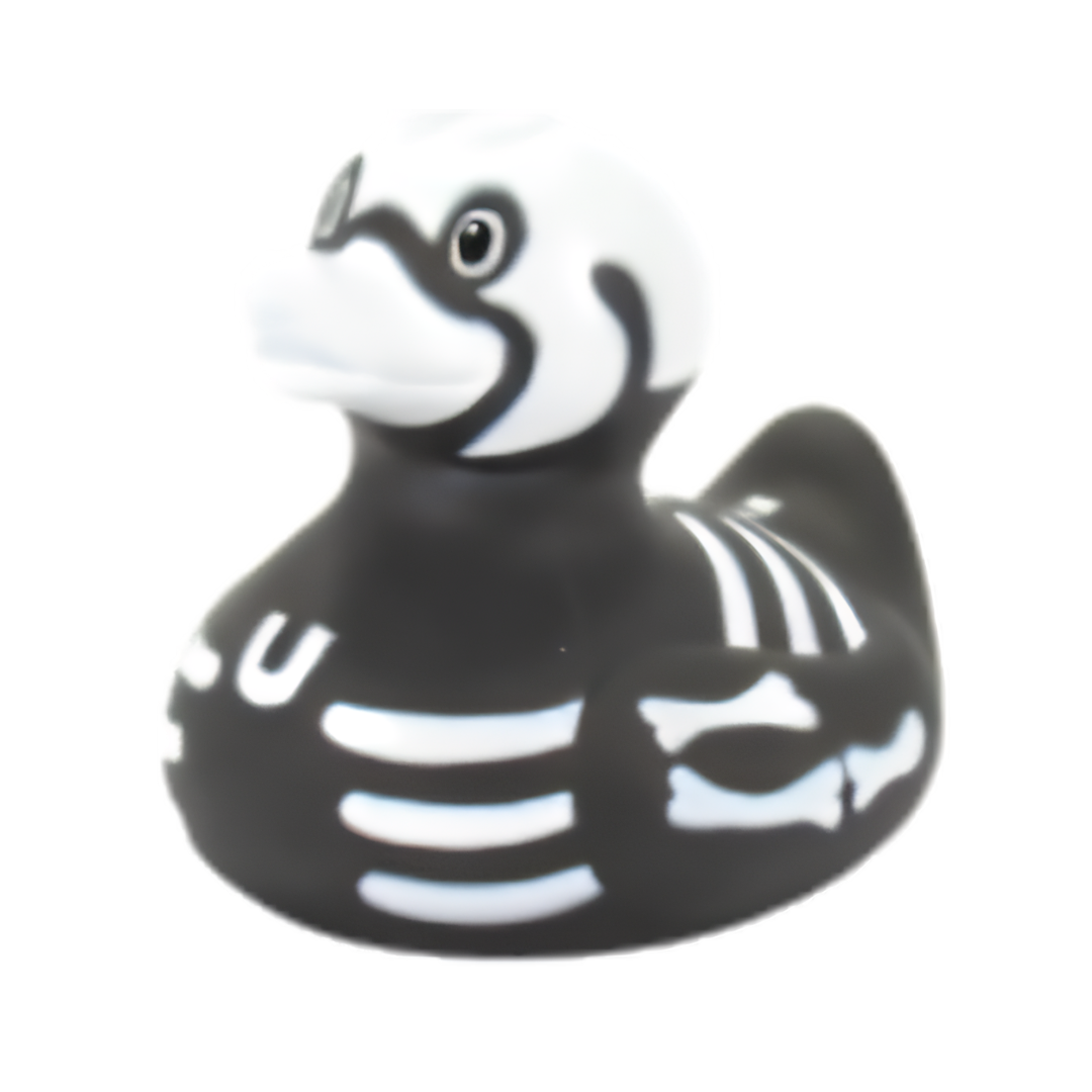 X-Ray Rubber Duck