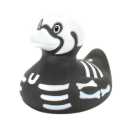 X-Ray Rubber Duck